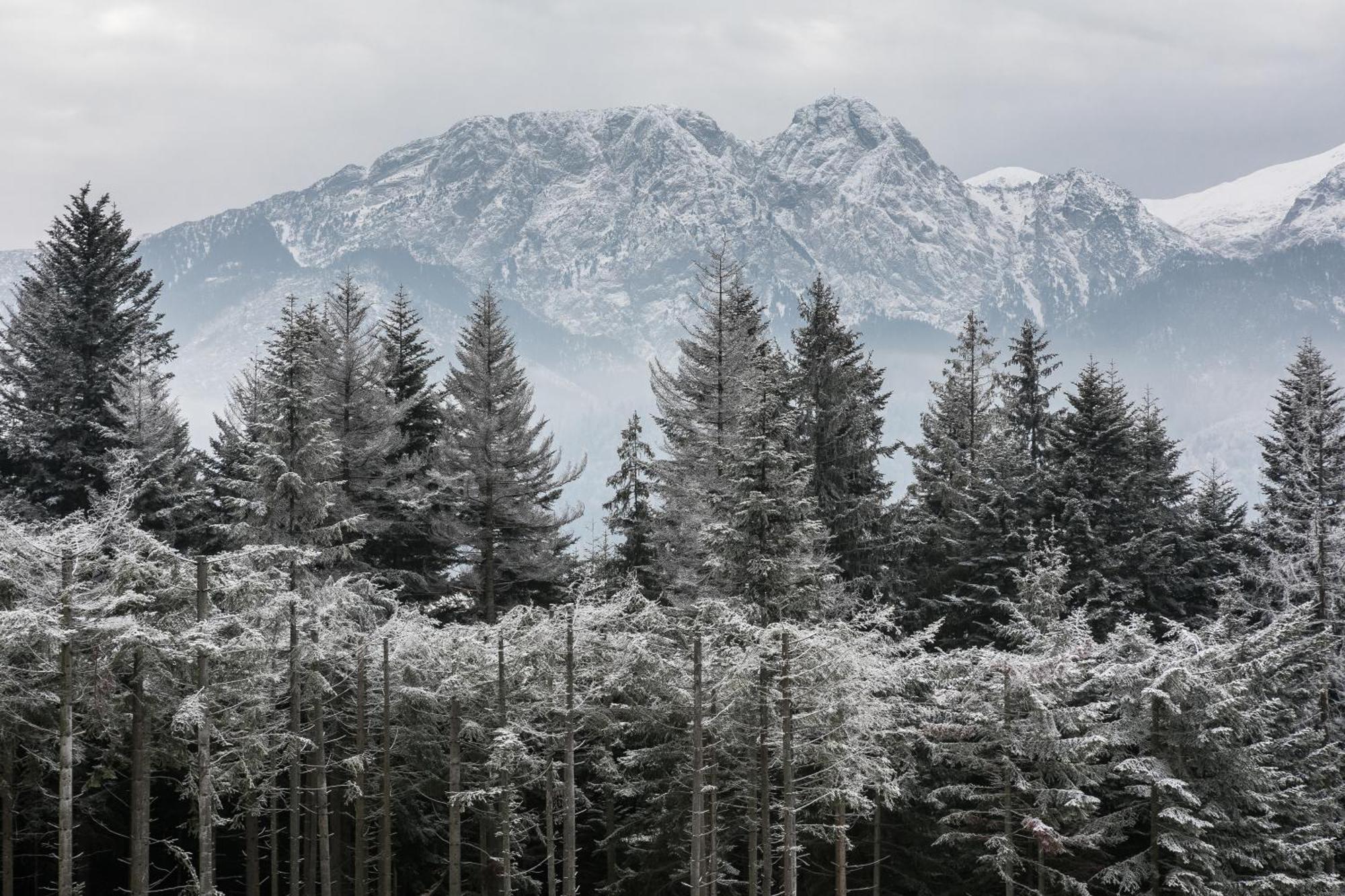 Rent Like Home - Hidden Hill Szymaszkowa 12 Zakopane Ruang foto